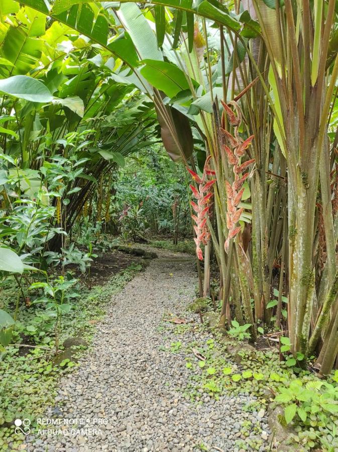 Casita Lidia Bijagua Bed & Breakfast Exterior photo